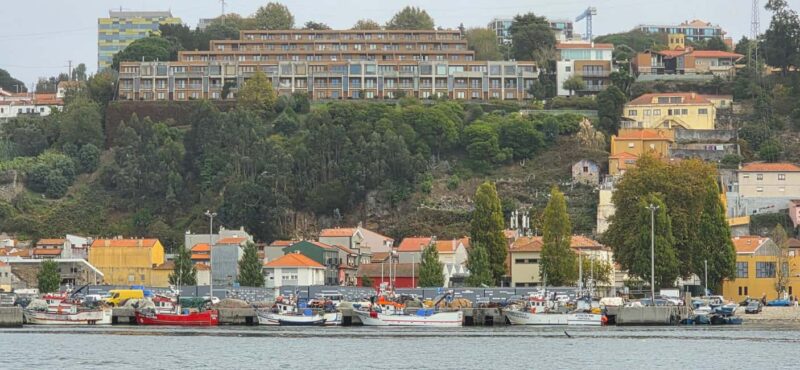 Porto: Discover the Douro River by Sailing Boat - Discovering Vila Nova de Gaia from the Water