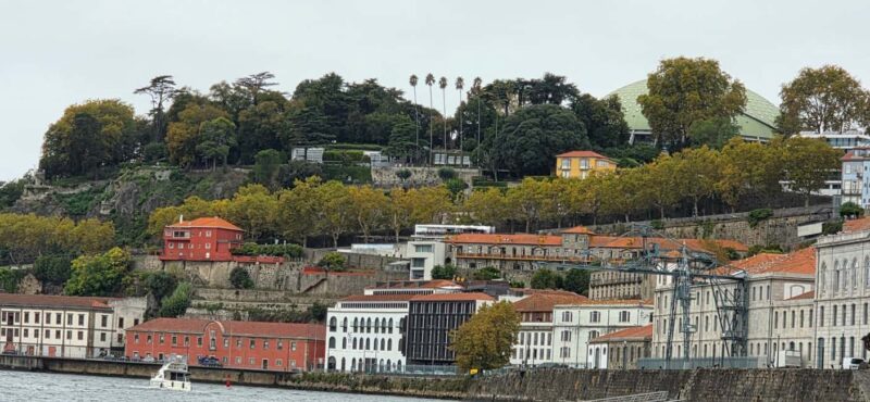 Porto: Discover the Douro River by Sailing Boat - What Makes This Tour Stand Out