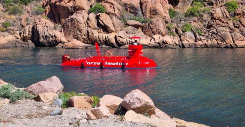 Porto : Discovery of the marine fauna and flora/Bay of Porto - Practical details and accessibility considerations