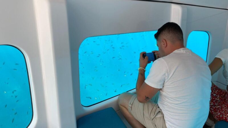 Porto : Discovery of the marine fauna and flora/Bay of Porto - Enhancing the experience: Tips for participants