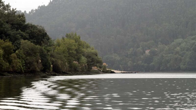 Porto: Douro Nature Boat Tour - The Experience on the Boat and Guides