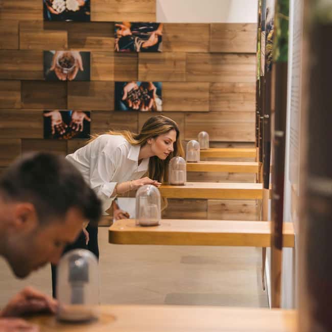 Porto: Douro River Cruise + Chocolate Museum - Why This Tour Stands Out in Porto