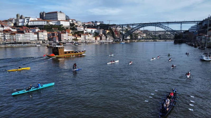 Porto: Douro River Kayak or Standup Paddleboard Tour - Key Points