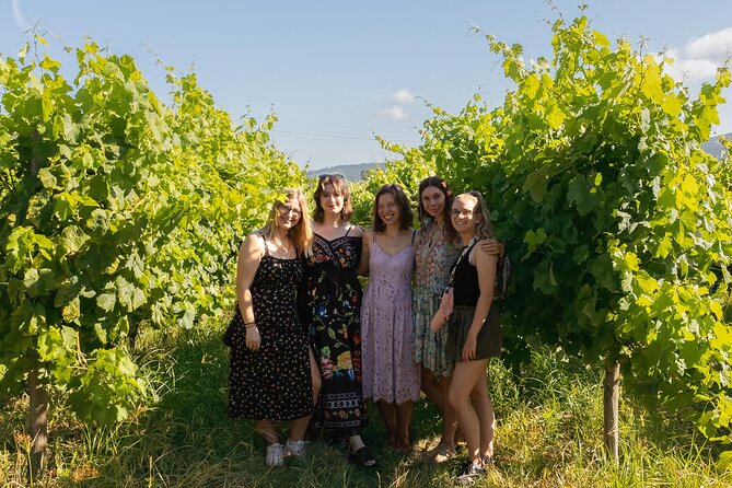 Porto: douro valey, 2 Wine regions, Sommelier, boat trip & lunch - Key Points