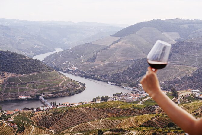 Porto: douro valey, 2 Wine regions, Sommelier, boat trip & lunch - Exploring Peso Da Regua’s First Wine Estate and Vineyard