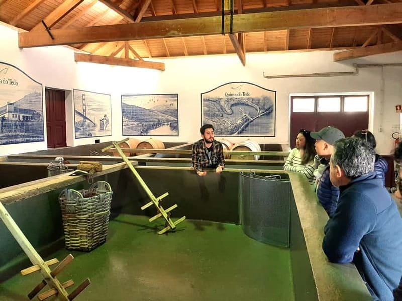 Porto: Douro Valley, 2 Wineries, Lunch & Private Boat Trip - Scenic Boat Trip on the Douro River with Snacks and Drinks