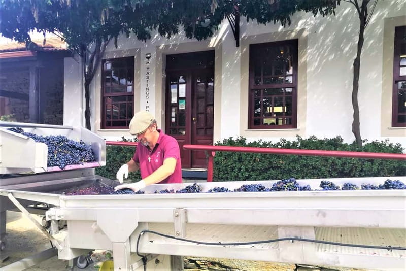 Porto: Douro Valley, 2 Wineries, Lunch & Private Boat Trip - Top Viewpoints and Panoramic Photos in the Douro Valley