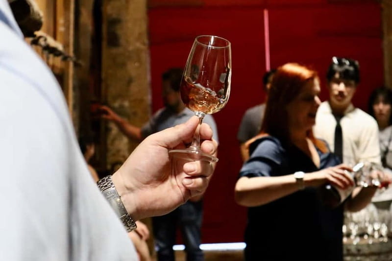 Porto: Douro Valley, 2 Wineries, Lunch & Private Boat Trip - Round-Trip Transportation in Comfort and Small Groups