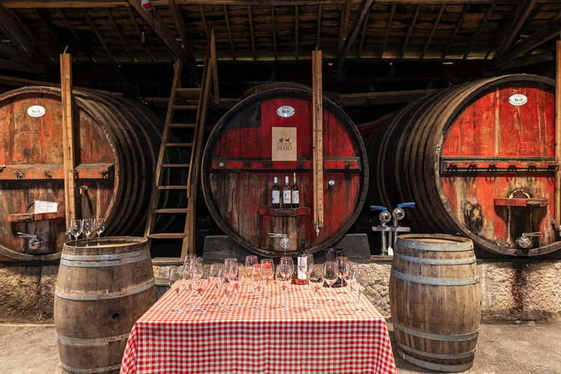 Porto: Douro Valley, 2 Wineries, Lunch & Private Boat Trip - Knowledgeable Guides Lead the Way