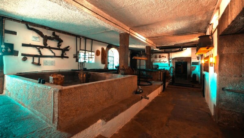 Porto: Douro Valley, 2 Wineries, Lunch & Private Boat Trip - What Sets This Tour Apart from Others