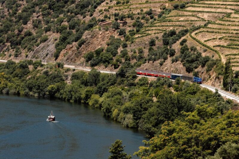 Porto: Douro Valley Full-Day Boat, Train, and Lunch Tour - Discover the Douro Valley on a Full-Day Tour from Porto