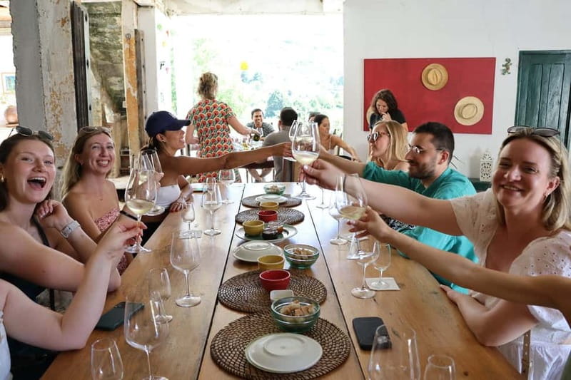 Porto: DOURO VALLEY Half-day Tour - Tasting Experiences and Local Flavors