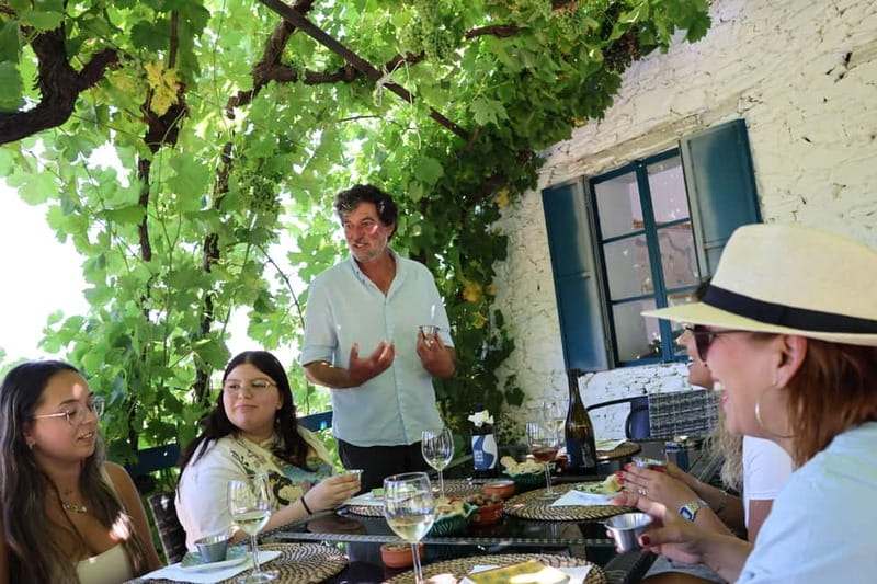 Porto: DOURO VALLEY Half-day Tour - The Experience of a Small Group Tour