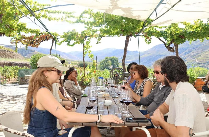 Porto: DOURO VALLEY Half-day Tour - Guides Who Make the Difference