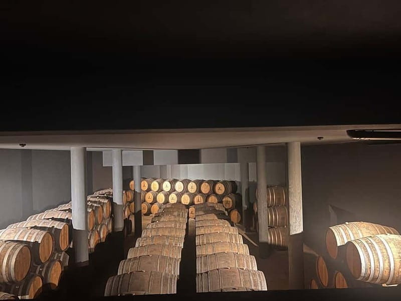 Porto: Douro Valley Half-Day Wine and Food Tour - Savoring the Flavors of the Douro