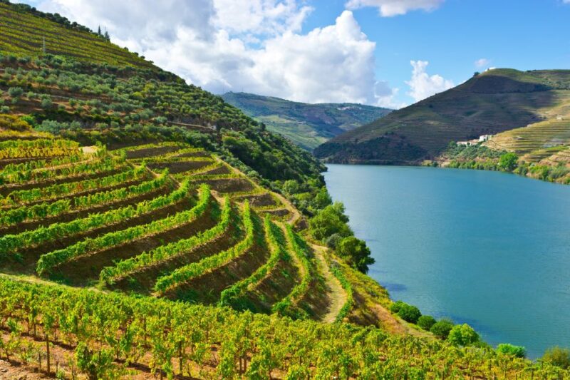 Porto: Douro Valley History & Wine Tour with Cruise & Lunch - Key Points