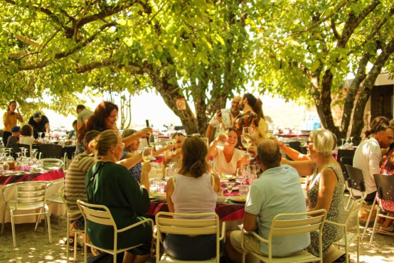 Porto: Douro Valley History & Wine Tour with Cruise & Lunch - Visiting São Leonardo da Galafura Viewpoint