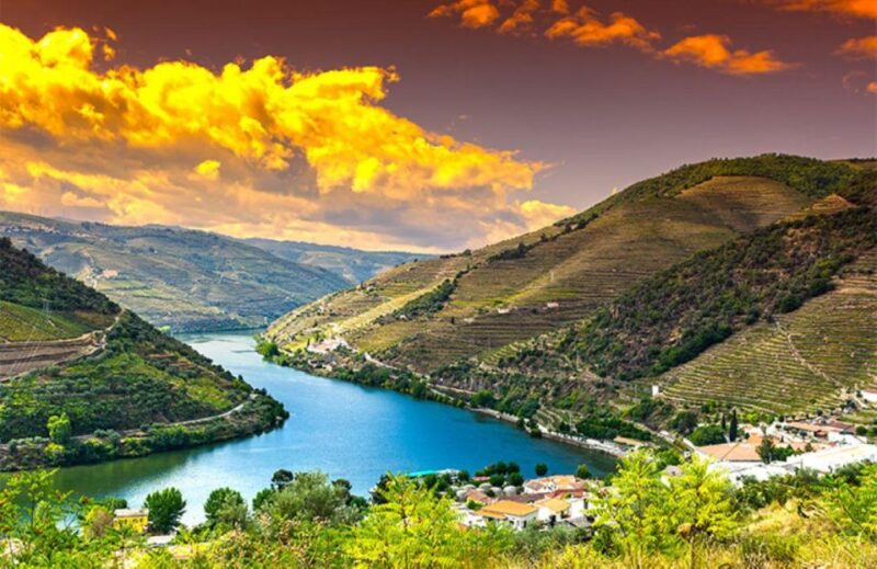 Porto: Douro Valley Private Full-Day Tour - Discover the Douro Valley through a Private Full-Day Tour from Porto