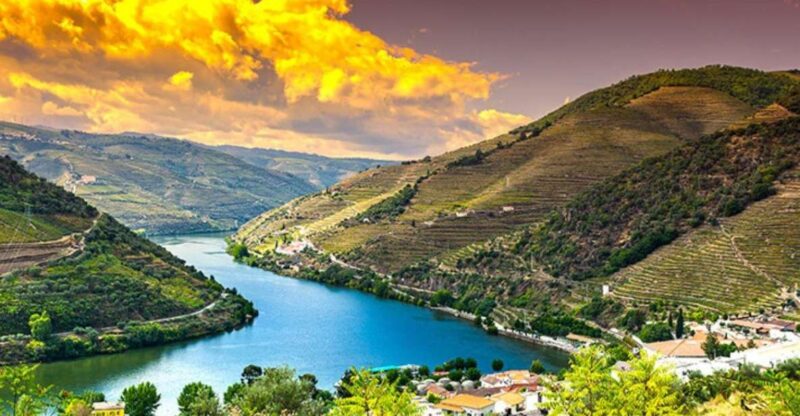 Porto: Douro Valley Private Full-Day Tour - Key Points