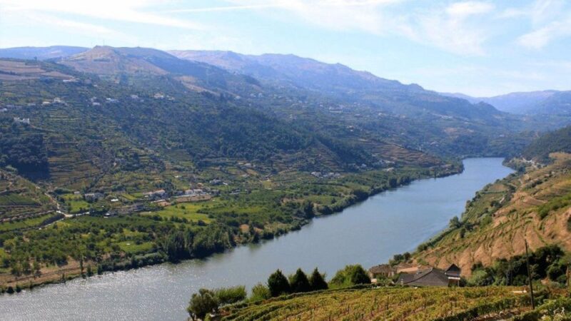 Porto: Douro Valley Private Full-Day Tour - Exploring Amarante: The Charm of a Historic Town