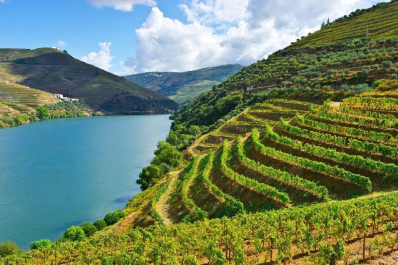 Porto: Douro Valley Private Full-Day Tour - Pinhão: Riverside Beauty and Wine Experiences