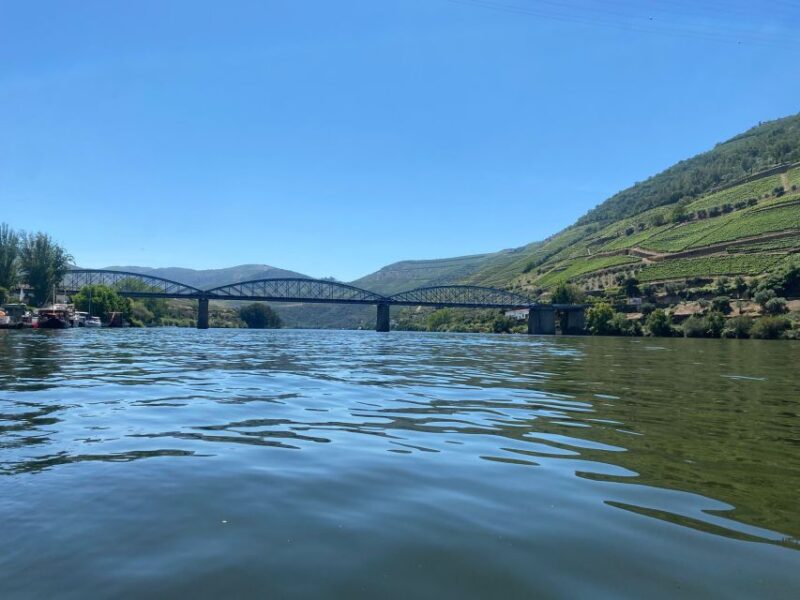 Porto: Douro Valley Private Tour 2 Vineyards & River Cruise - Starting Point: Convenient Pickup in Porto
