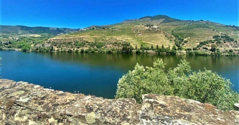 Porto: Douro Valley Private Tour 2 Vineyards & River Cruise - Lunch with Panoramic Vineyard Views