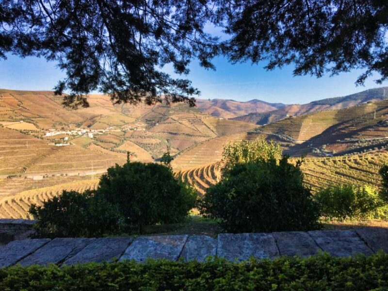 Porto: Douro Valley Private Tour 2 Vineyards & River Cruise - Return to Porto with Lasting Memories