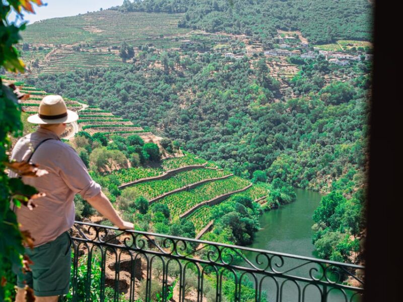 Porto: Douro Valley Private Tour, Tastings, Cruise & Lunch - Key Points