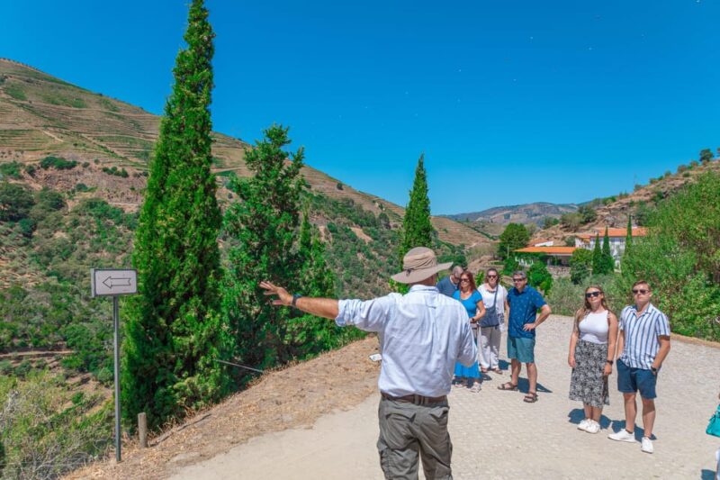 Porto: Douro Valley Private Tour, Tastings, Cruise & Lunch - Cruise Along the Douro River for a Tranquil View