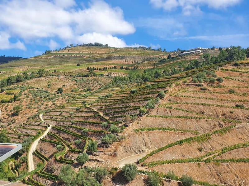 Porto: Douro Valley Private Tour with Winery Visit & Lunch - Explore the Douro Valley’s Most Spectacular Views and Vineyards