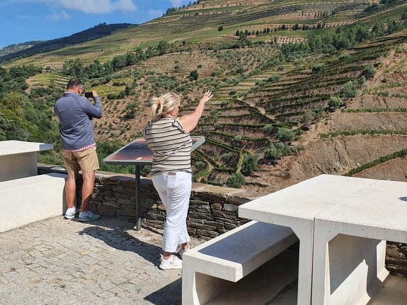 Porto: Douro Valley Private Tour with Winery Visit & Lunch - Key Points