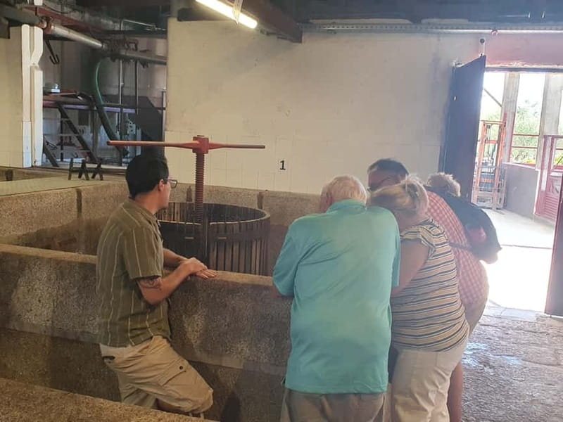 Porto: Douro Valley Private Tour with Winery Visit & Lunch - Visiting a Winery with 300+ Years of History