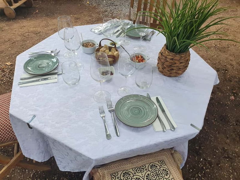 Porto: Douro Valley Private Tour with Winery Visit & Lunch - Practical Details and Tips for Participants