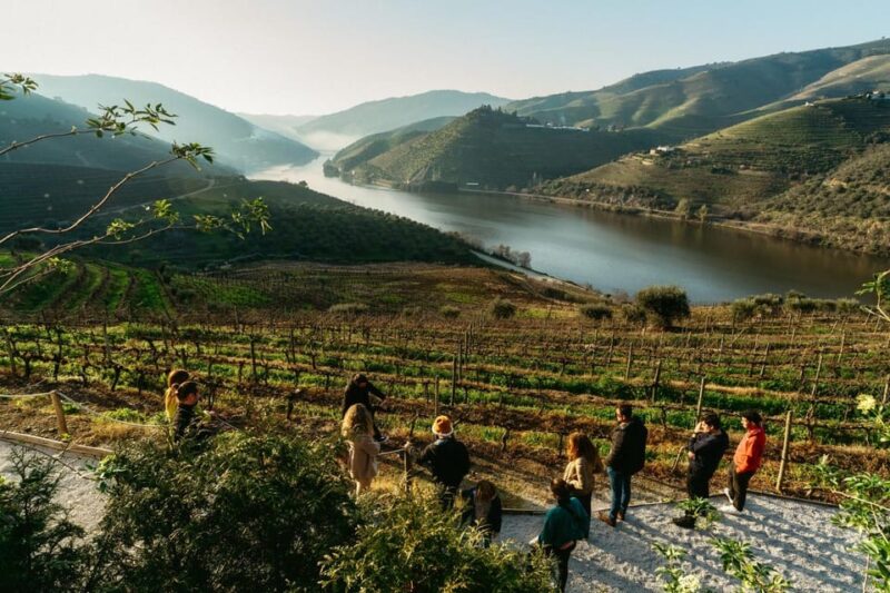 Porto: Douro Valley Tour with 2 Wineries, Lunch and Cruise - Behind-the-Scenes Tour of Quinta de São Luís