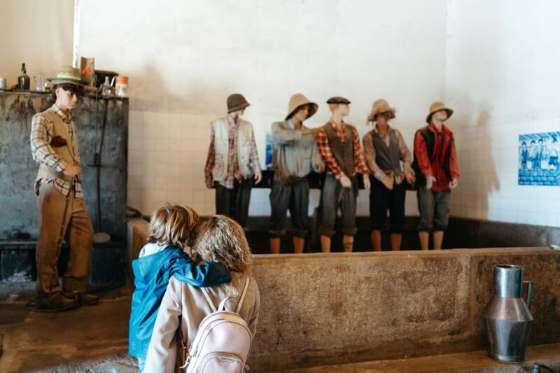 Porto: Douro Valley Tour with 2 Wineries, Lunch and Cruise - Vintage Car Tour of Gaia’s Historic Area