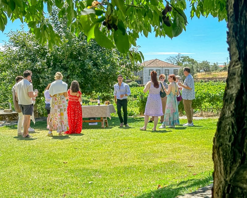 Porto: Douro Valley Tour with 2 Wineries, Lunch and Cruise - Starting Point at Trindade Metro Station