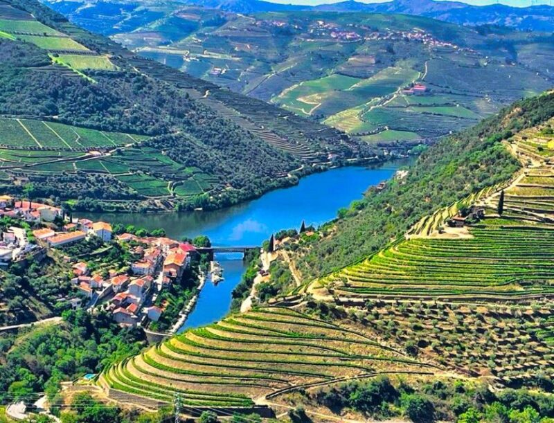 Porto: Douro Valley Tour with 2 Wineries, Lunch and Cruise - Practical Details and Group Size
