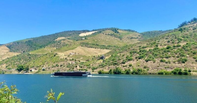 Porto: Douro Valley Tour with 2 Wineries, Lunch and Cruise - Pricing and Value