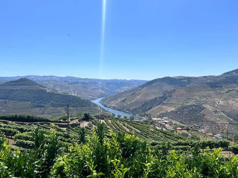 Porto: Douro Valley Tour with 3 Wineries and Lunch - Visiting Pinhão: A Center of Port Wine Production