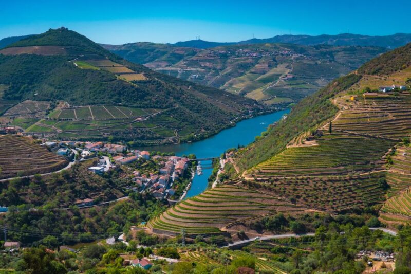 Porto: Douro Valley Tour with Lunch, Boat Cruise & Tastings - The Flavors of Portugal: Lunch and Tastings