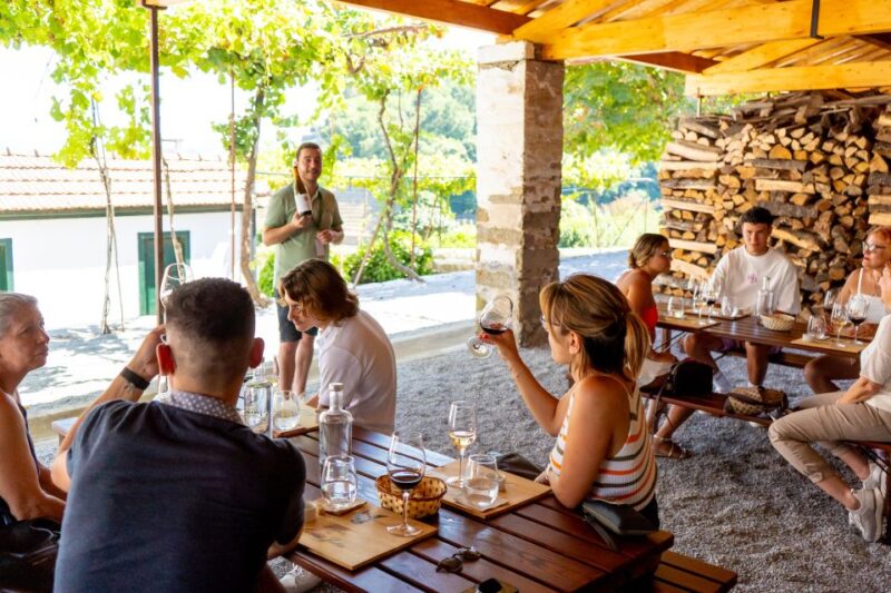 Porto: Douro Valley Tour with Lunch, Boat Cruise & Tastings - The Value of the Douro Valley Tour