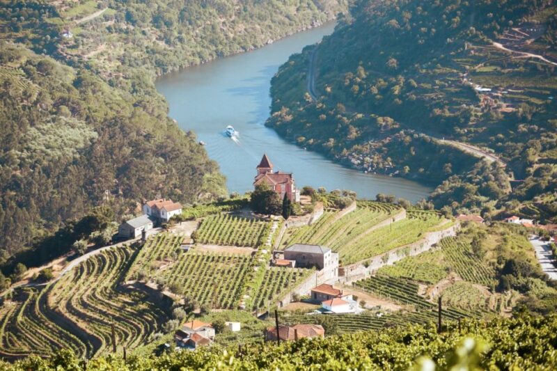 Porto: Douro Valley Tour with Wine Tasting, Cruise and Lunch - Key Points