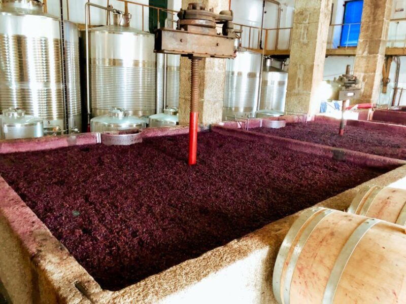 Porto: Douro Valley Tour with Wine Tasting, Cruise and Lunch - Photo Stop at Sabrosa and Return to Porto