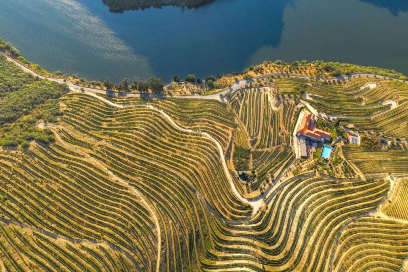 Porto: Douro Valley Tour with Wine Tasting, Cruise and Lunch - Guides, Vehicles, and Overall Experience