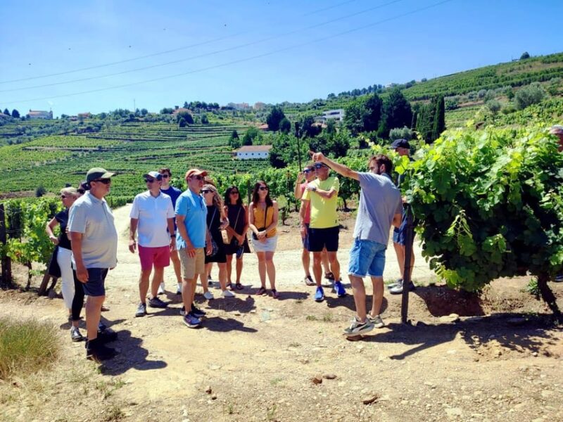 Porto: Douro Valley Vineyards Tour with Lunch & River Cruise - Scenic River Cruise Along the Douro River