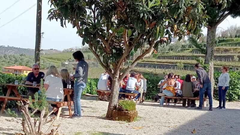 Porto: Douro Valley Vineyards Tour with Lunch & River Cruise - Practical Details: Meeting Points and Group Size