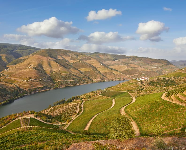 Porto: Douro Valley Wine & History Tour with Cruise & Lunch - Pacing and Duration of the Tour