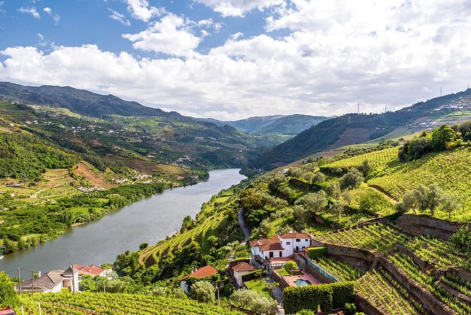 Porto: Douro Valley Wine Tour Including Lunch - Scenic Drive to São Cristovão do Douro and Viewpoints