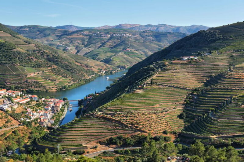 Porto: Douro Valley Wine Tour with a Sommelier & Boat Trip - Exploring the Douro Valleys Vineyards and Wineries